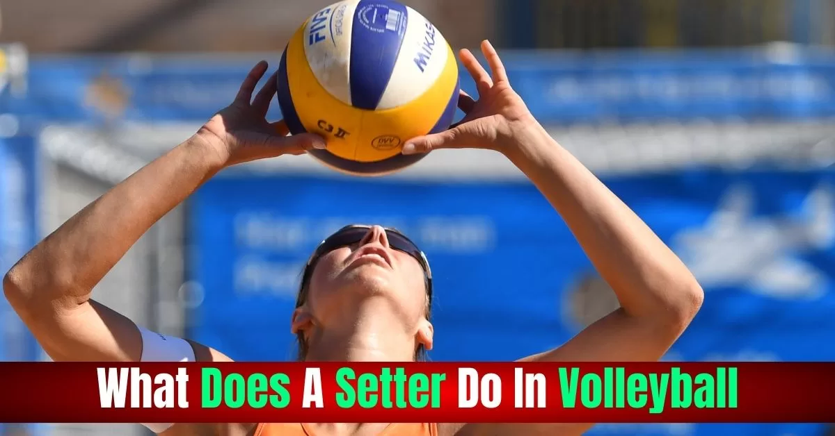 What Does A Setter Do In Volleyball? | Perfect Guide [2024]